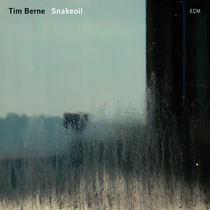 Pochette de Snakeoil de Tim Berne