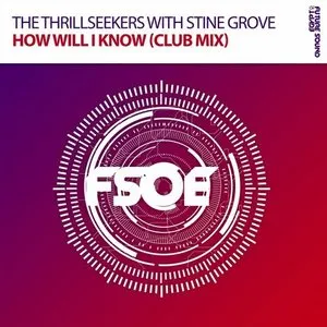 Pochette de How Will I Know de The Thrillseekers