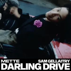 Pochette de DARLING DRIVE de Sam Gellaitry