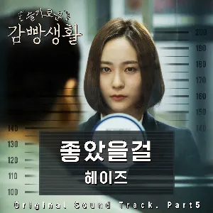 Pochette de 슬기로운 감빵생활 OST Part 5 de Heize