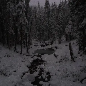 Pochette de Dyatlov’s Creek de Hiemal