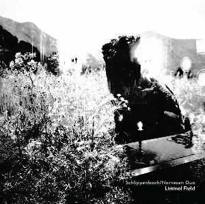 Pochette de Liminal Field de Alexander von Schlippenbach