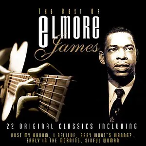 Pochette The Best of Elmore James