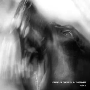 Pochette de F.O.A.D. de Corpus Christii