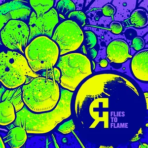 Pochette de Flies to Flame de Rosetta
