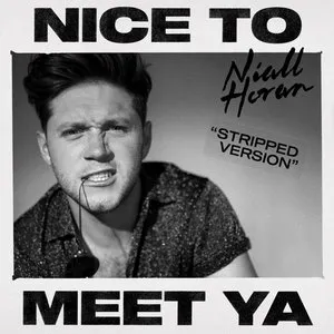 Pochette de Nice to Meet Ya (stripped version) de Niall Horan