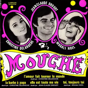 Pochette Mouche