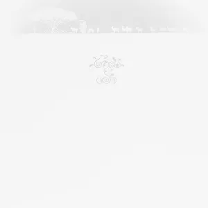 Pochette de vein de Boris