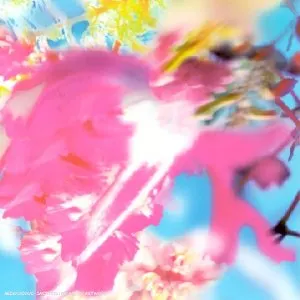 Pochette de Lucidogen de The Young Gods