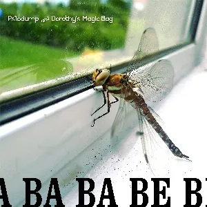 Pochette de Ba Ba Ba Ba Be Bi Du de Psilodump