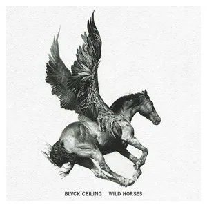 Pochette de WILD HORSES de BLVCKCEILING