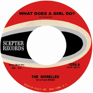Pochette What Does a Girl Do / Don't Let It Happen to Us