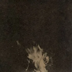 Pochette de Black Dissimulation de Bonnie “Prince” Billy