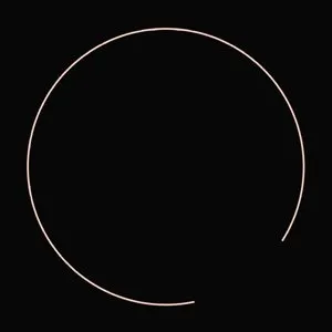 Pochette de Into The Night Sky de Loren Mazzacane Connors