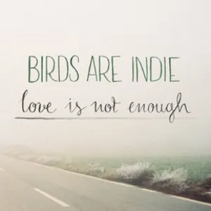 Pochette de Love Is Not Enough de Birds Are Indie