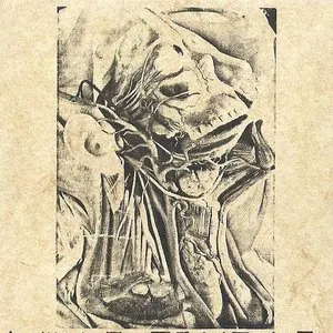 Pochette de The Ultimated Sign of Burning Death de Vidna Obmana