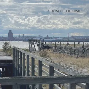 Pochette de Deep Into the Night de Saint Etienne
