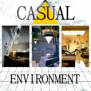 Pochette de Casual Environment de Zadig the Jasp