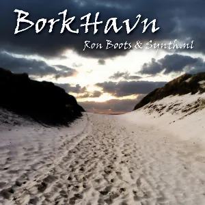 Pochette de BorkHavn de Synth.nl - Ron Boots