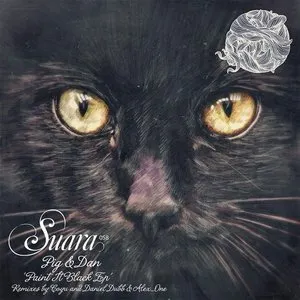 Pochette de Paint It Black EP de Pig&Dan