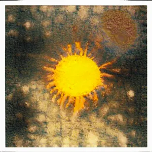 Pochette de That which I think to be myself is but infinite number de Boson Spin