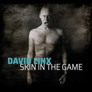 Pochette de Skin in the Game de David Linx