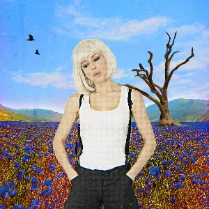 Pochette de Bang Bang Bang Bang (Kill the Gun) de Sohodolls