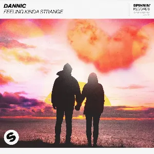 Pochette de Feeling Kinda Strange de Dannic