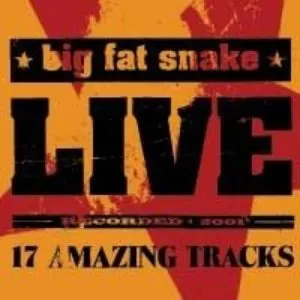 Pochette de Live de Big Fat Snake