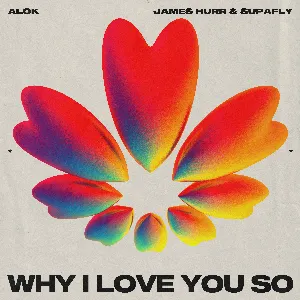 Pochette de Why I Love You So de Alok