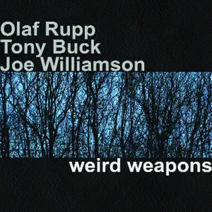 Pochette de Weird Weapons de Tony Buck