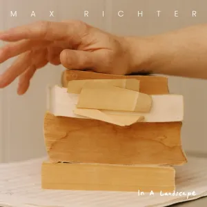 Pochette de In a Landscape de Max Richter