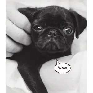 Pochette de Wow de Noriyuki Makihara