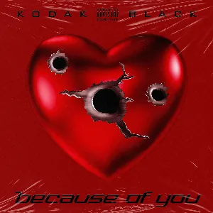 Pochette de Because of You de Kodak Black