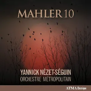 Pochette Mahler 10