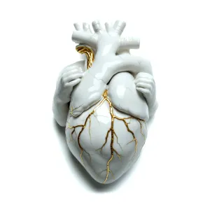 Pochette de August Parker de Ozark Henry