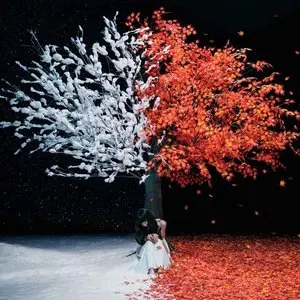 Pochette de 茜さす / everlasting snow de Aimer