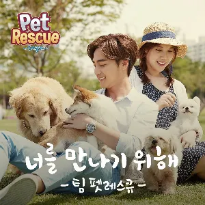 Pochette de 펫레스큐 de Roy Kim