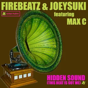 Pochette de Hidden Sound (This Beat Is Got Me) de Firebeatz