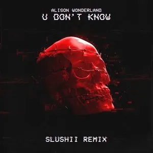 Pochette de U Don't Know (Slushii remix) de Alison Wonderland