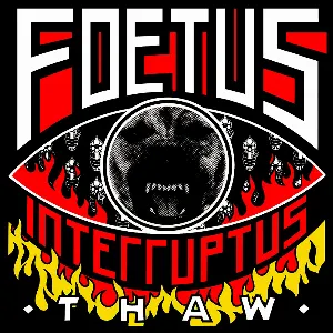 Pochette de Thaw de Foetus