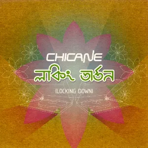 Pochette de Locking Down de Chicane