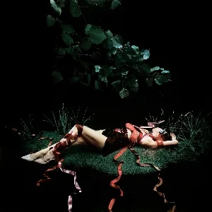 Pochette de Blood and Butter de Caroline Polachek