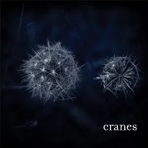 Pochette Cranes