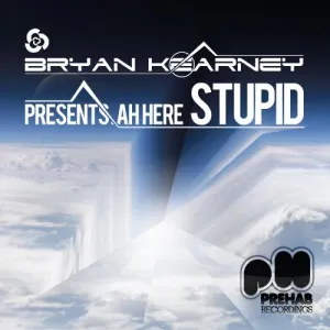 Pochette de Stupid de Bryan Kearney