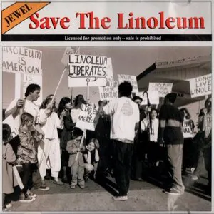 Pochette Save the Linoleum