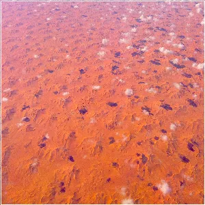 Pochette de Untitled (2019) de Francisco López