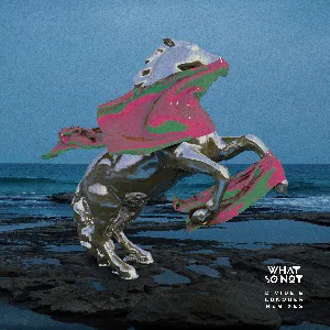 Pochette de Divide & Conquer (Remixes) de What So Not