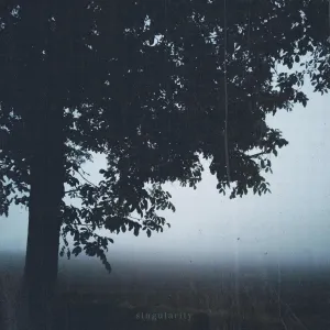 Pochette de Singularity de Mononome