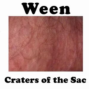 Pochette Craters of the Sac